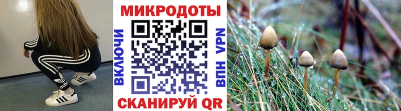 Галлюциногенные грибы MAGIC MUSHROOMS  МЕГА   Юрюзань  купить закладку 